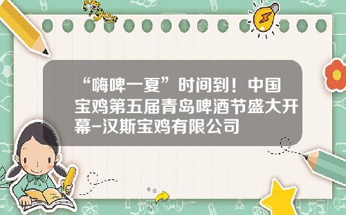“嗨啤一夏”时间到！中国宝鸡第五届青岛啤酒节盛大开幕-汉斯宝鸡有限公司