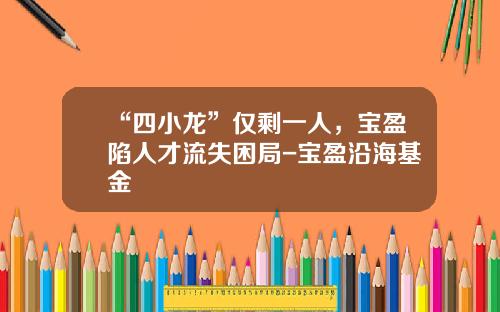 “四小龙”仅剩一人，宝盈陷人才流失困局-宝盈沿海基金