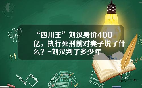 “四川王”刘汉身价400亿，执行死刑前对妻子说了什么？-刘汉判了多少年