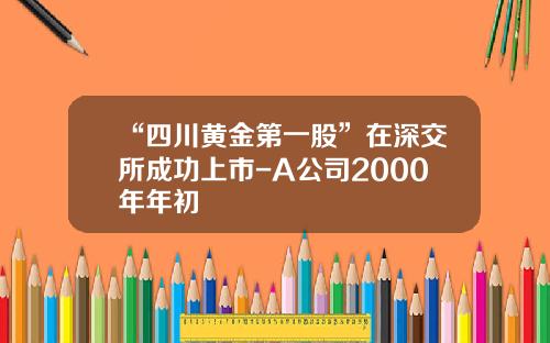 “四川黄金第一股”在深交所成功上市-A公司2000年年初