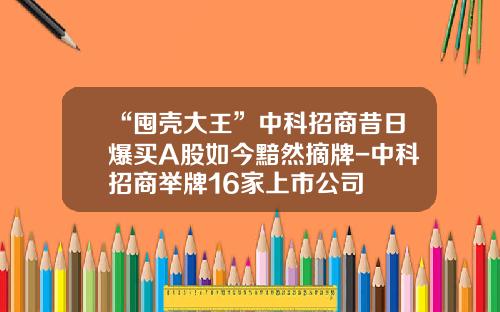 “囤壳大王”中科招商昔日爆买A股如今黯然摘牌-中科招商举牌16家上市公司