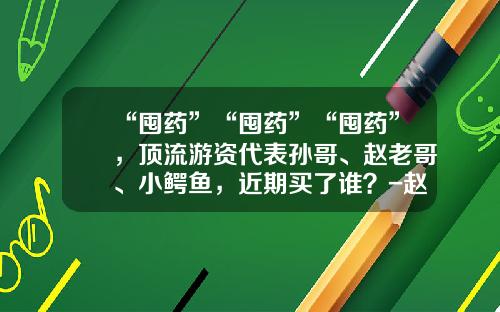 “囤药”“囤药”“囤药”，顶流游资代表孙哥、赵老哥、小鳄鱼，近期买了谁？-赵医药公司眼里