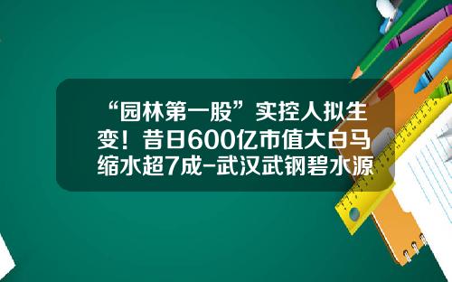 “园林第一股”实控人拟生变！昔日600亿市值大白马缩水超7成-武汉武钢碧水源环保技术有限公司工资怎么样