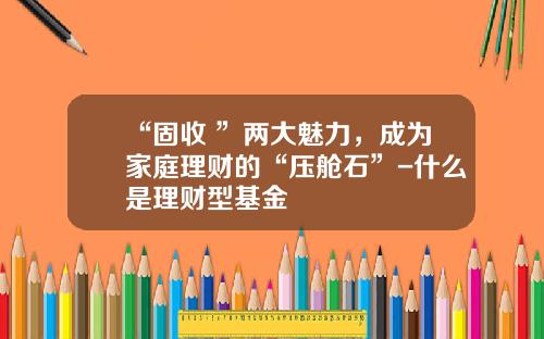 “固收+”两大魅力，成为家庭理财的“压舱石”-什么是理财型基金