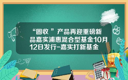 “固收+”产品再迎重磅新品嘉实浦惠混合型基金10月12日发行-嘉实打新基金