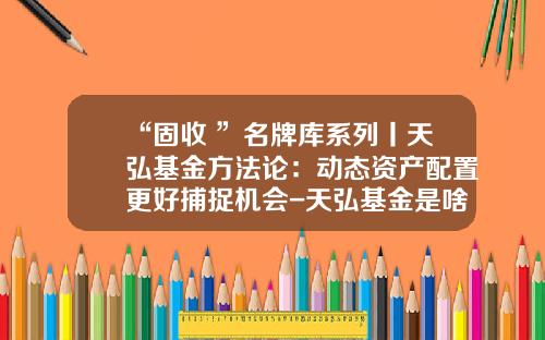“固收+”名牌库系列丨天弘基金方法论：动态资产配置更好捕捉机会-天弘基金是啥