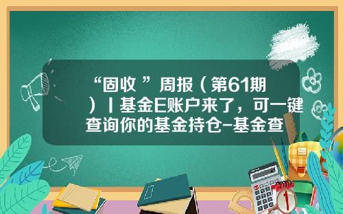 “固收+”周报（第61期）丨基金E账户来了，可一键查询你的基金持仓-基金查