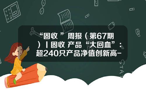 “固收+”周报（第67期）丨固收+产品“大回血”：超240只产品净值创新高-固定期限基金