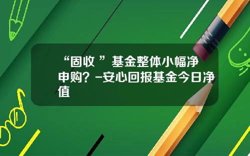 “固收+”基金整体小幅净申购？-安心回报基金今日净值