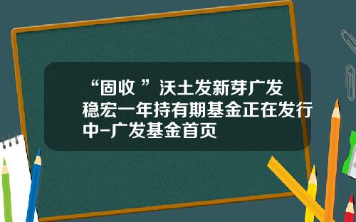 “固收+”沃土发新芽广发稳宏一年持有期基金正在发行中-广发基金首页