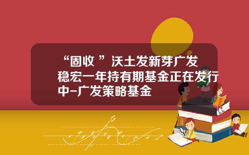 “固收+”沃土发新芽广发稳宏一年持有期基金正在发行中-广发策略基金