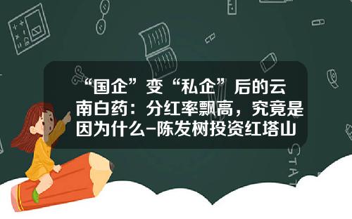 “国企”变“私企”后的云南白药：分红率飘高，究竟是因为什么-陈发树投资红塔山亏损多少