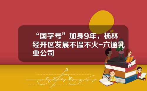 “国字号”加身9年，杨林经开区发展不温不火-六通乳业公司