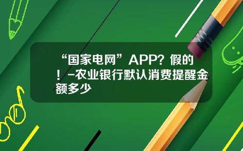 “国家电网”APP？假的！-农业银行默认消费提醒金额多少
