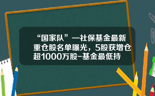 “国家队”—社保基金最新重仓股名单曝光，5股获增仓超1000万股-基金最低持仓