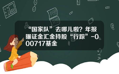 “国家队”去哪儿啦？年报曝证金汇金持股“行踪”-000717基金