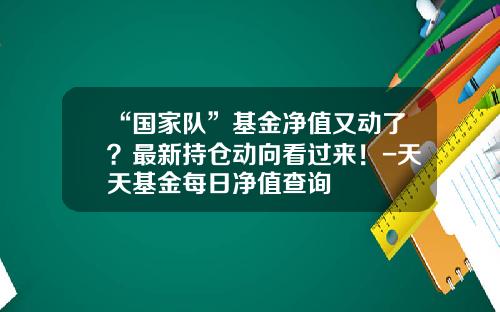 “国家队”基金净值又动了？最新持仓动向看过来！-天天基金每日净值查询