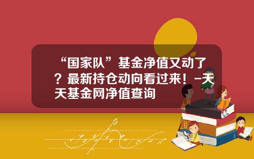 “国家队”基金净值又动了？最新持仓动向看过来！-天天基金网净值查询