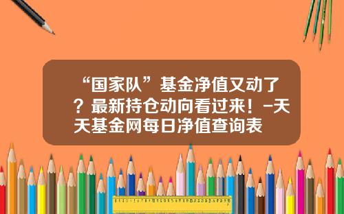 “国家队”基金净值又动了？最新持仓动向看过来！-天天基金网每日净值查询表