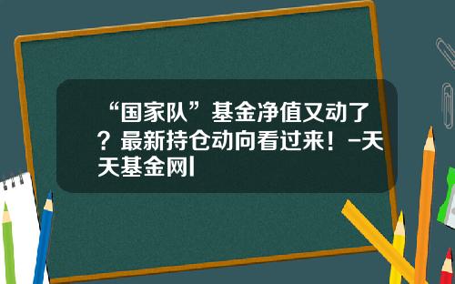 “国家队”基金净值又动了？最新持仓动向看过来！-天天基金网l