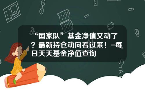 “国家队”基金净值又动了？最新持仓动向看过来！-每日天天基金净值查询