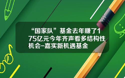 “国家队”基金去年赚了175亿元今年齐声看多结构性机会-嘉实新机遇基金