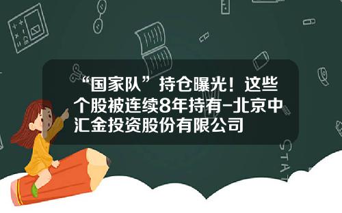 “国家队”持仓曝光！这些个股被连续8年持有-北京中汇金投资股份有限公司