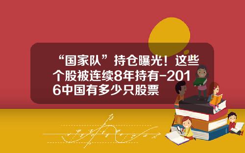 “国家队”持仓曝光！这些个股被连续8年持有-2016中国有多少只股票