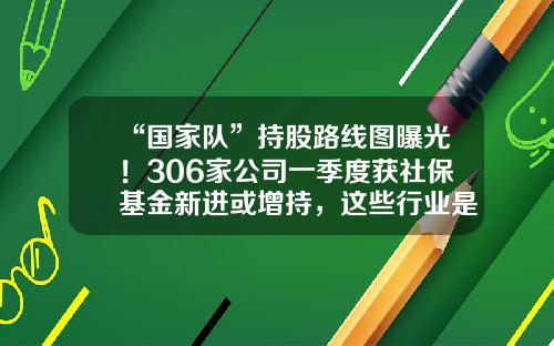 “国家队”持股路线图曝光！306家公司一季度获社保基金新进或增持，这些行业是重点-5只国家队基金