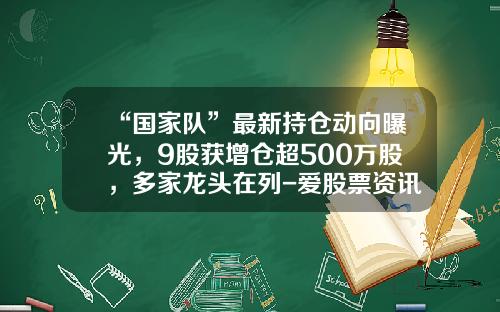 “国家队”最新持仓动向曝光，9股获增仓超500万股，多家龙头在列-爱股票资讯