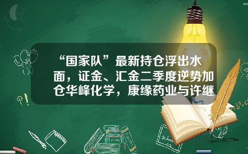 “国家队”最新持仓浮出水面，证金、汇金二季度逆势加仓华峰化学，康缘药业与许继电气等遭大幅减持-汇金公司市值