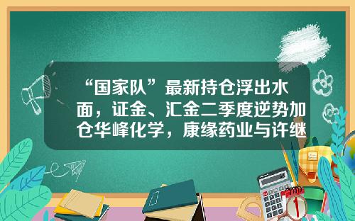 “国家队”最新持仓浮出水面，证金、汇金二季度逆势加仓华峰化学，康缘药业与许继电气等遭大幅减持-2016证金公司亏损多少