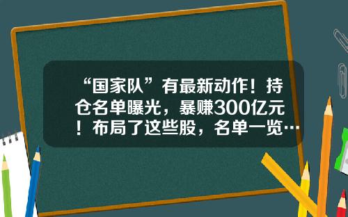 “国家队”有最新动作！持仓名单曝光，暴赚300亿元！布局了这些股，名单一览……-证金持股多少只