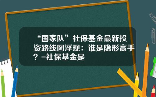 “国家队”社保基金最新投资路线图浮现：谁是隐形高手？-社保基金是