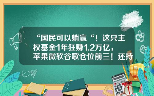 “国民可以躺赢“！这只主权基金1年狂赚1.2万亿，苹果微软谷歌仓位前三！还持有2300亿A股-中国主权财富基金