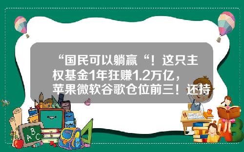 “国民可以躺赢“！这只主权基金1年狂赚1.2万亿，苹果微软谷歌仓位前三！还持有2300亿A股-挪威主权财富基金