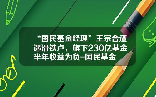“国民基金经理”王宗合遭遇滑铁卢，旗下230亿基金半年收益为负-国民基金