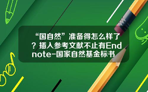 “国自然”准备得怎么样了？插入参考文献不止有Endnote-国家自然基金标书
