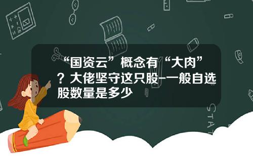 “国资云”概念有“大肉”？大佬坚守这只股-一般自选股数量是多少