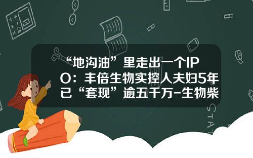 “地沟油”里走出一个IPO：丰倍生物实控人夫妇5年已“套现”逾五千万-生物柴油上市公司