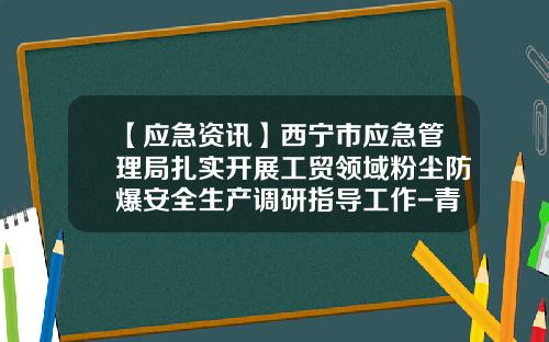 【应急资讯】西宁市应急管理局扎实开展工贸领域粉尘防爆安全生产调研指导工作-青海湘和有色金属有限责任公司
