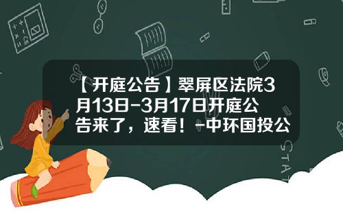 【开庭公告】翠屏区法院3月13日-3月17日开庭公告来了，速看！-中环国投公司