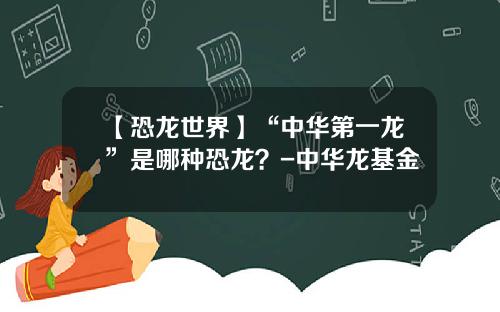 【恐龙世界】“中华第一龙”是哪种恐龙？-中华龙基金