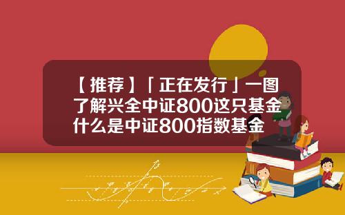 【推荐】「正在发行」一图了解兴全中证800这只基金什么是中证800指数基金