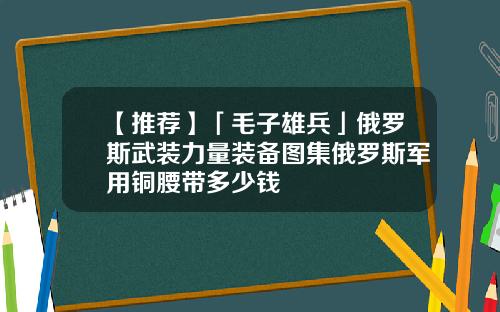 【推荐】「毛子雄兵」俄罗斯武装力量装备图集俄罗斯军用铜腰带多少钱