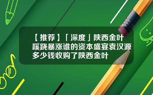 【推荐】「深度」陕西金叶蹊跷暴涨谁的资本盛宴袁汉源多少钱收购了陕西金叶