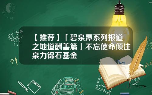 【推荐】「碧泉潭系列报道之地道酬善篇」不忘使命倾注泉力锦石基金