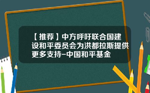 【推荐】中方呼吁联合国建设和平委员会为洪都拉斯提供更多支持-中国和平基金