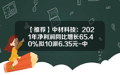 【推荐】中材科技：2021年净利润同比增长65.40%拟10派6.35元-中材科技股份有限公司