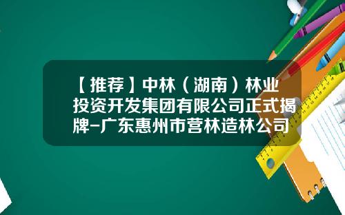 【推荐】中林（湖南）林业投资开发集团有限公司正式揭牌-广东惠州市营林造林公司